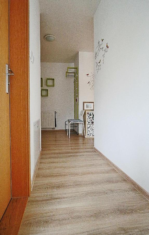 Jediny Apartament *